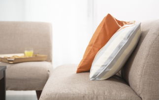 捕捉生活美學 現代家居寫真與素材全解析